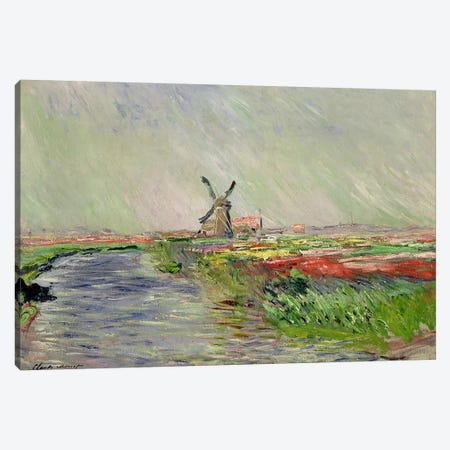Tulip Field in Holland  Canvas Print #BMN1983} by Claude Monet Canvas Print