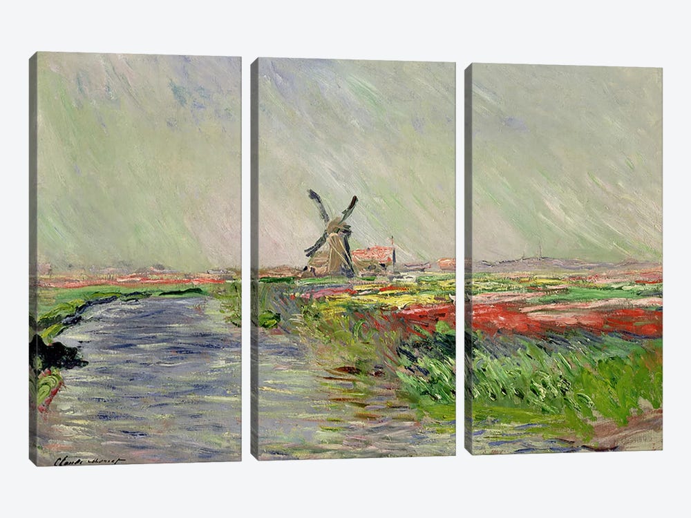 Tulip Field in Holland  by Claude Monet 3-piece Canvas Artwork