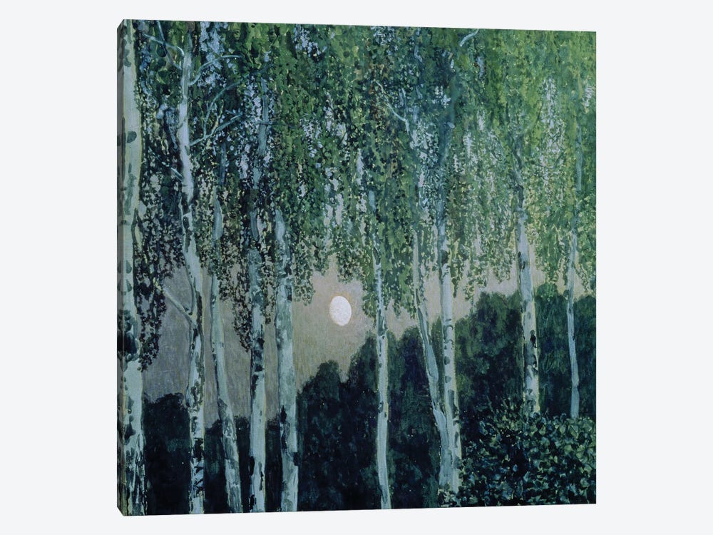 Birch Trees  1-piece Art Print