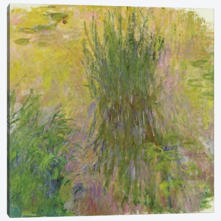 Waterlilies   Canvas Print #BMN1987} by Claude Monet Canvas Wall Art
