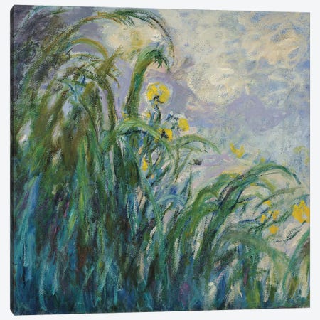 The Yellow Iris  Canvas Print #BMN1997} by Claude Monet Art Print
