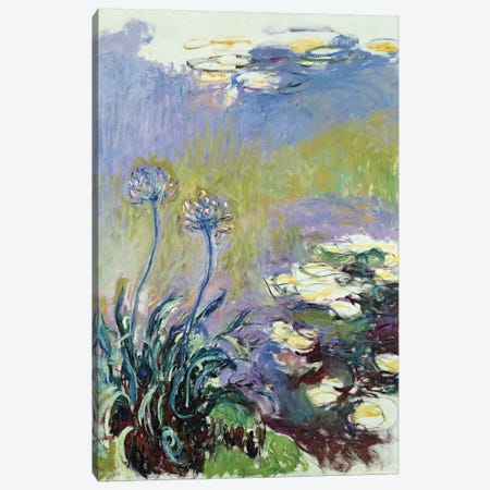 The Agapanthus, 1914-17  Canvas Print #BMN1999} by Claude Monet Canvas Wall Art