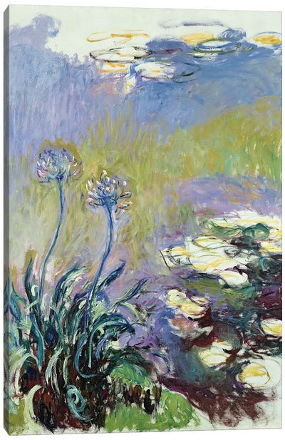 The Agapanthus, 1914-17  Canvas Art Print - Pond Art