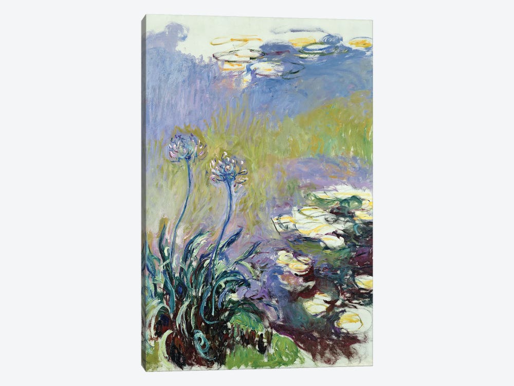 The Agapanthus, 1914-17  by Claude Monet 1-piece Art Print