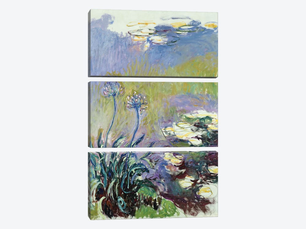 The Agapanthus, 1914-17  by Claude Monet 3-piece Canvas Art Print
