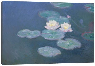 Waterlilies, Evening   Canvas Art Print - Pond Art