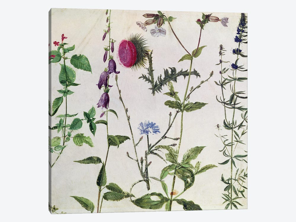 Eight Studies of Wild Flowers  1-piece Canvas Print