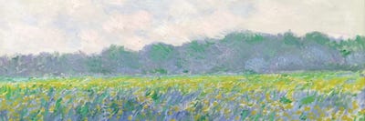 Field of Yellow Irises at Giverny, 1887  by Claude Monet multi panel art
