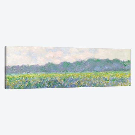 Field of Yellow Irises at Giverny, 1887  Canvas Print #BMN2011} by Claude Monet Canvas Print