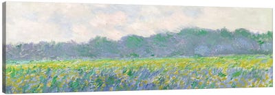 Field of Yellow Irises at Giverny, 1887  Canvas Art Print - Europe Art
