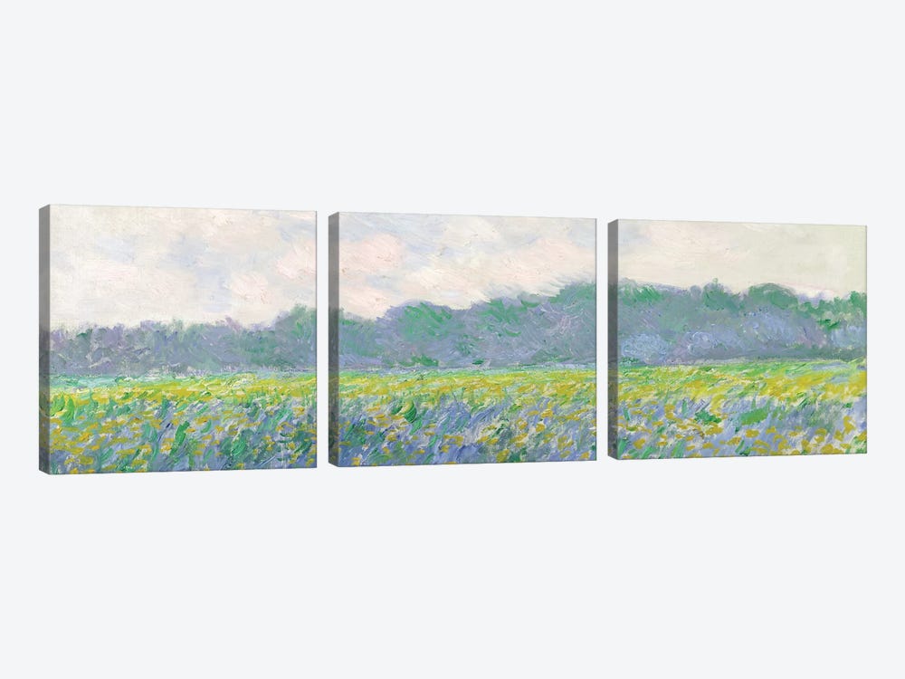 Field of Yellow Irises at Giverny, 1887  by Claude Monet 3-piece Art Print