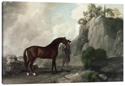 Cato' and Groom  Canvas Art Print
