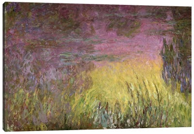 Waterlilies at Sunset, 1915-26   Canvas Art Print - Normandy