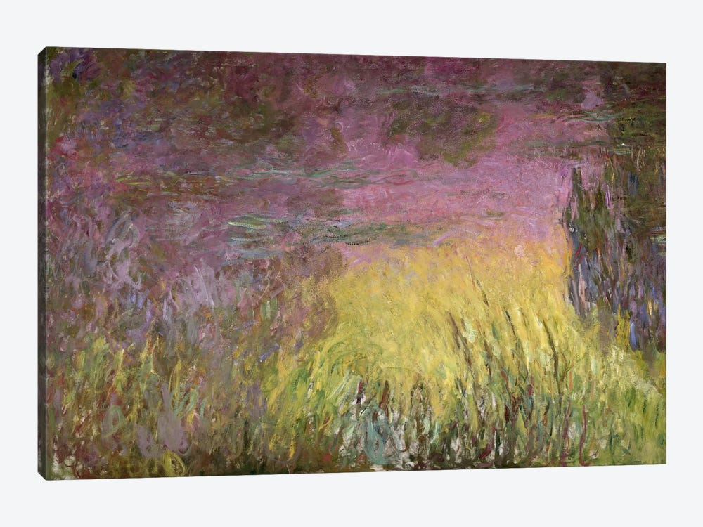 Waterlilies at Sunset, 1915-26   by Claude Monet 1-piece Canvas Art Print