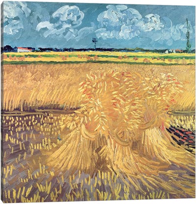 Wheatfield with Sheaves, 1888  Canvas Art Print - Vincent van Gogh