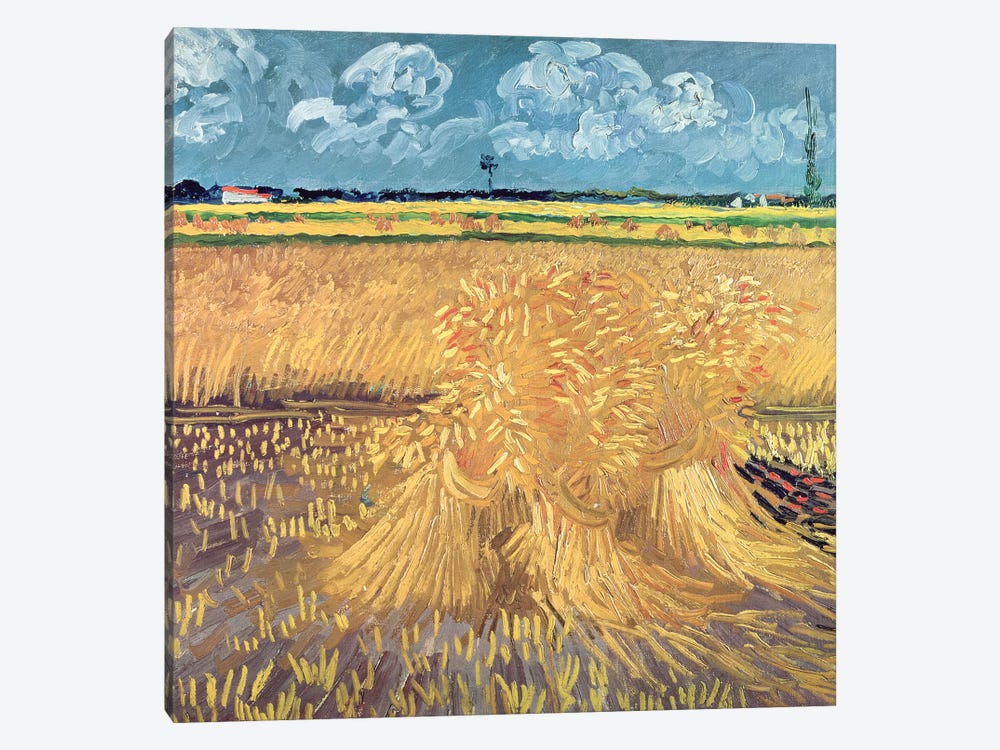 Wheatfield with Sheaves, 1888  by Vincent van Gogh 1-piece Art Print