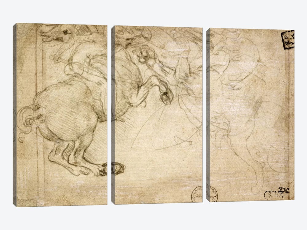 A Horseman in Combat with a Griffin, 16th century  by Leonardo da Vinci 3-piece Canvas Art Print