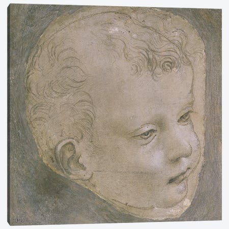 Head of a Child  Canvas Print #BMN2044} by Leonardo da Vinci Canvas Print