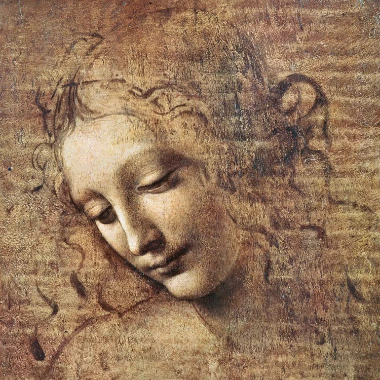 Head of a Young Woman with Tousled Hair or, Leda 
