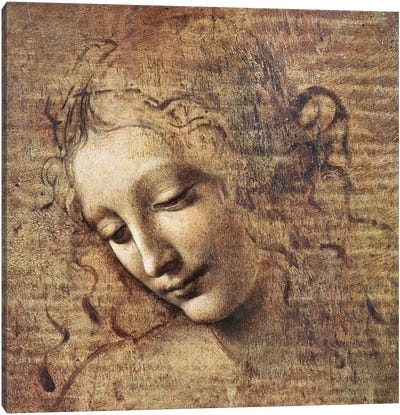 Head of a Young Woman with Tousled Hair or, Leda  Canvas Art Print - Leonardo da Vinci