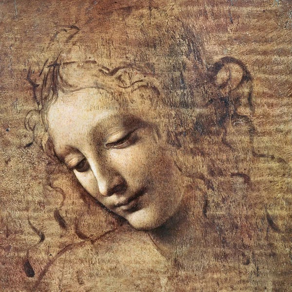 Renaissance: Head of a Young Woman with Tousled Hair or, Leda  by Leonardo da Vinci