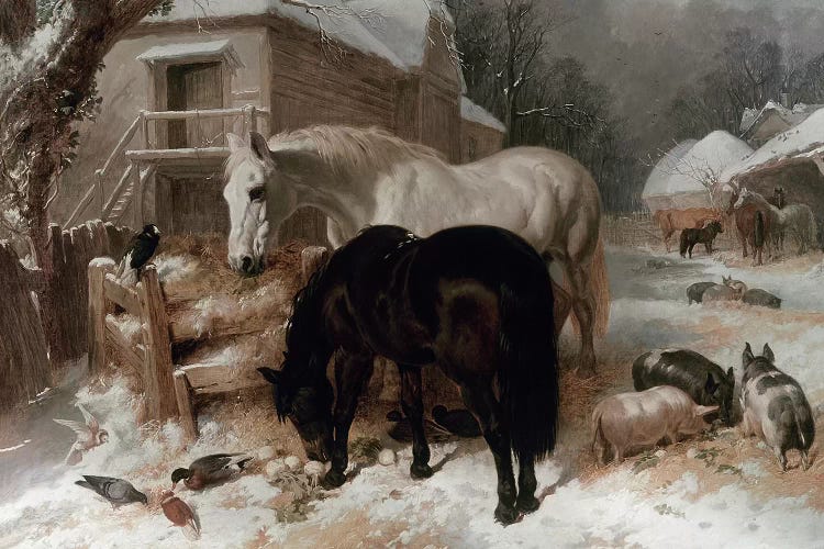 Farmyard Scene