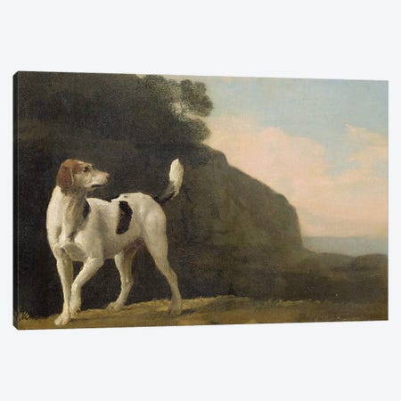 A Foxhound, c.1760  Canvas Print #BMN2061} by George Stubbs Canvas Art