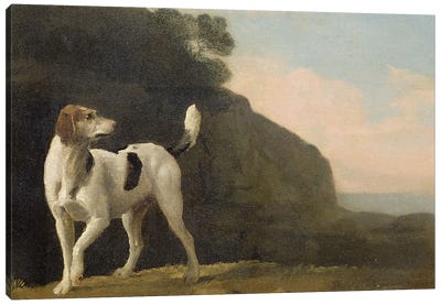 A Foxhound, c.1760  Canvas Art Print