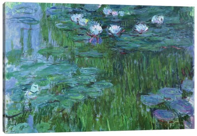Waterlilies, 1914-17  Canvas Art Print - Lily Art