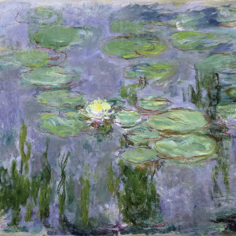 Waterlilies, 1915  by Claude Monet wall art