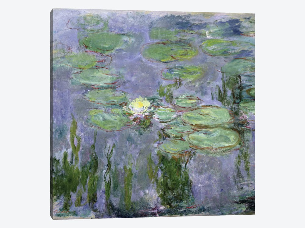 Waterlilies, 1915  by Claude Monet 1-piece Canvas Art Print