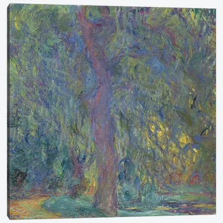 Weeping Willow, 1918-19  Canvas Print #BMN2108} by Claude Monet Art Print