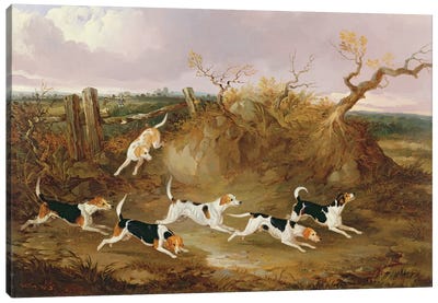 Beagles in Full Cry, 1845  Canvas Art Print - Beagle Art