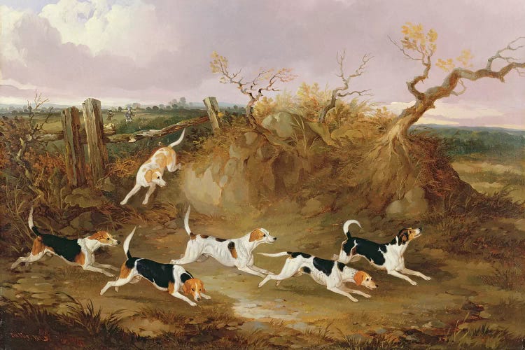 Beagles in Full Cry, 1845 