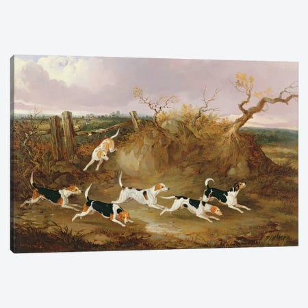 Beagles in Full Cry, 1845  Canvas Print #BMN2111} by John Dalby Canvas Artwork