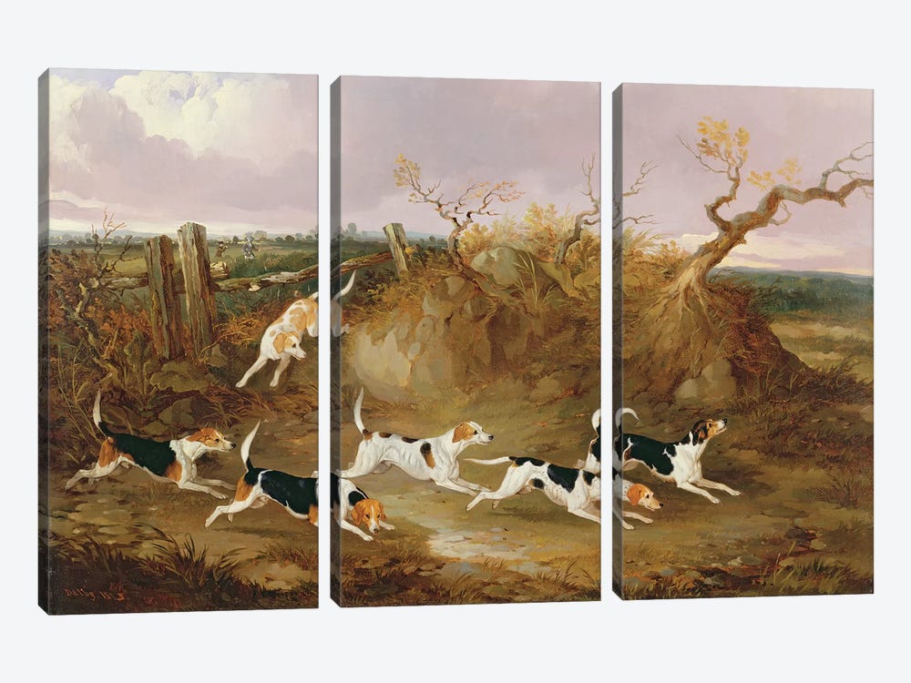 Beagles in Full Cry, 1845  by John Dalby 3-piece Canvas Artwork