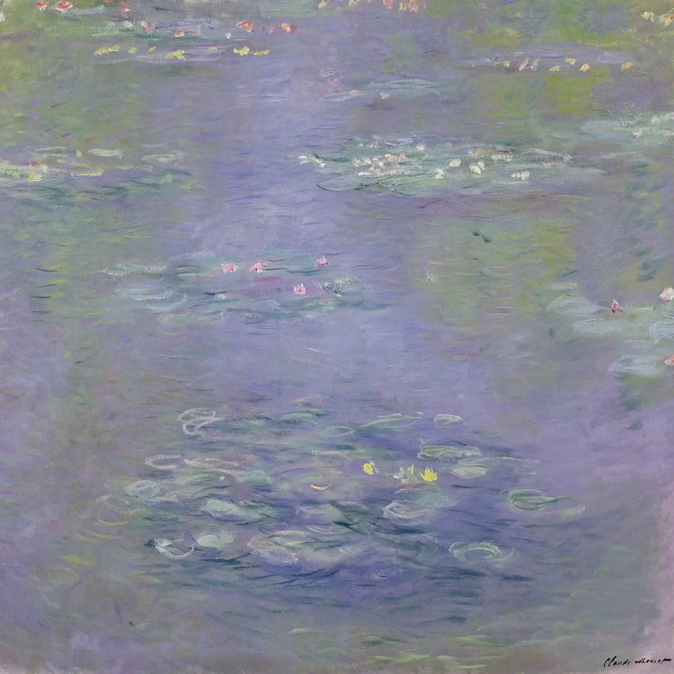 Waterlilies, 1903  by Claude Monet wall art