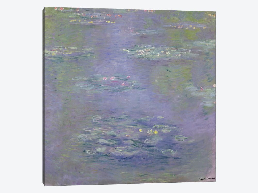 Waterlilies, 1903  by Claude Monet 1-piece Canvas Art