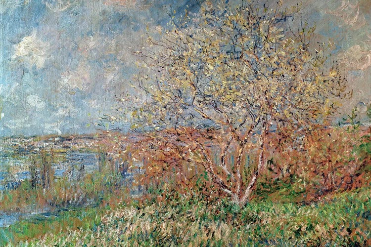 Spring, 1880-82 