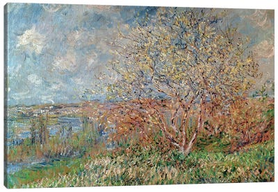Spring, 1880-82  Canvas Art Print - Claude Monet