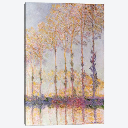 Poplars on the Banks of the Epte, 1891  Canvas Print #BMN2123} by Claude Monet Canvas Art Print