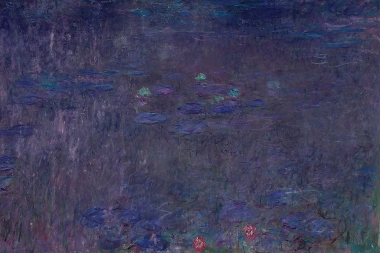 Waterlilies: Reflections of Trees, detail from the right hand side, 1915-26 