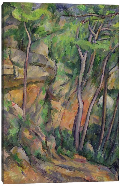 In the Park of Chateau Noir, c.1896-99  Canvas Art Print - Paul Cezanne