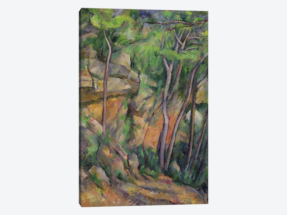 In the Park of Chateau Noir, c.1896-99  by Paul Cezanne 1-piece Canvas Art