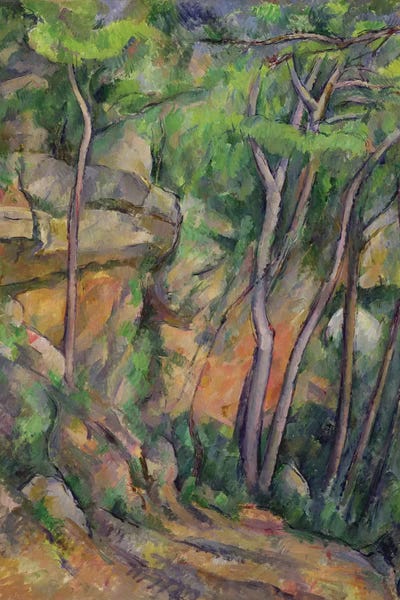 City Parks: In the Park of Chateau Noir, c.1896-99  by Paul Cezanne