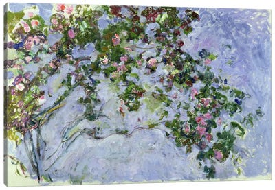The Roses, 1925-26  Canvas Art Print - Claude Monet