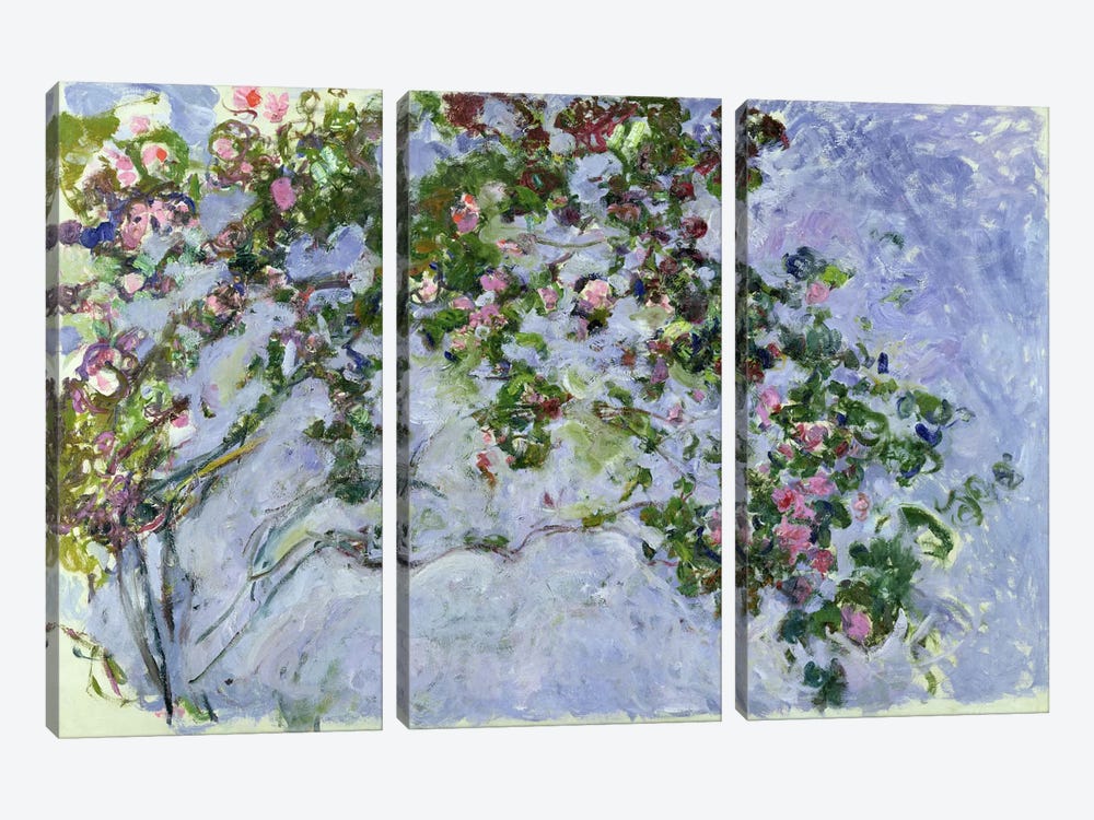 The Roses, 1925-26  by Claude Monet 3-piece Art Print