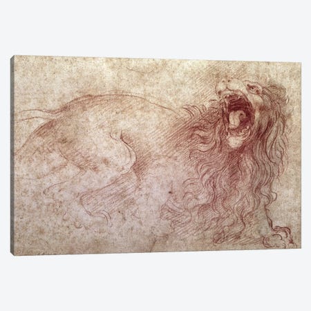 Sketch of a roaring lion  Canvas Print #BMN2181} by Leonardo da Vinci Art Print