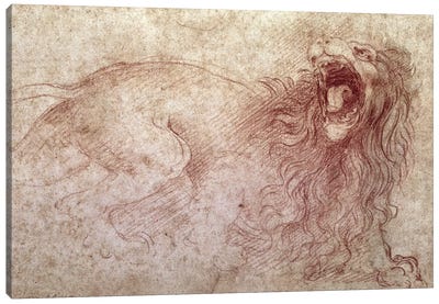 Sketch of a roaring lion  Canvas Art Print - Leonardo da Vinci