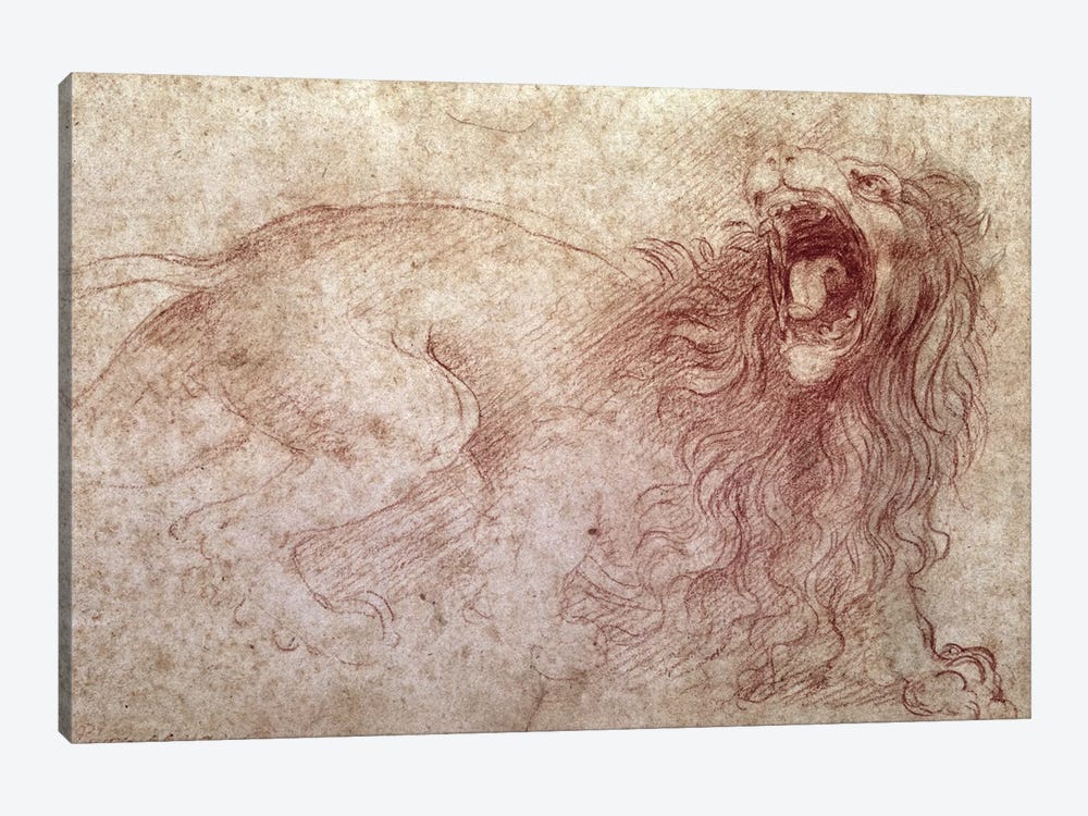Sketch of a roaring lion  1-piece Canvas Print